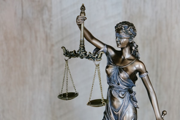法律公证过程示例